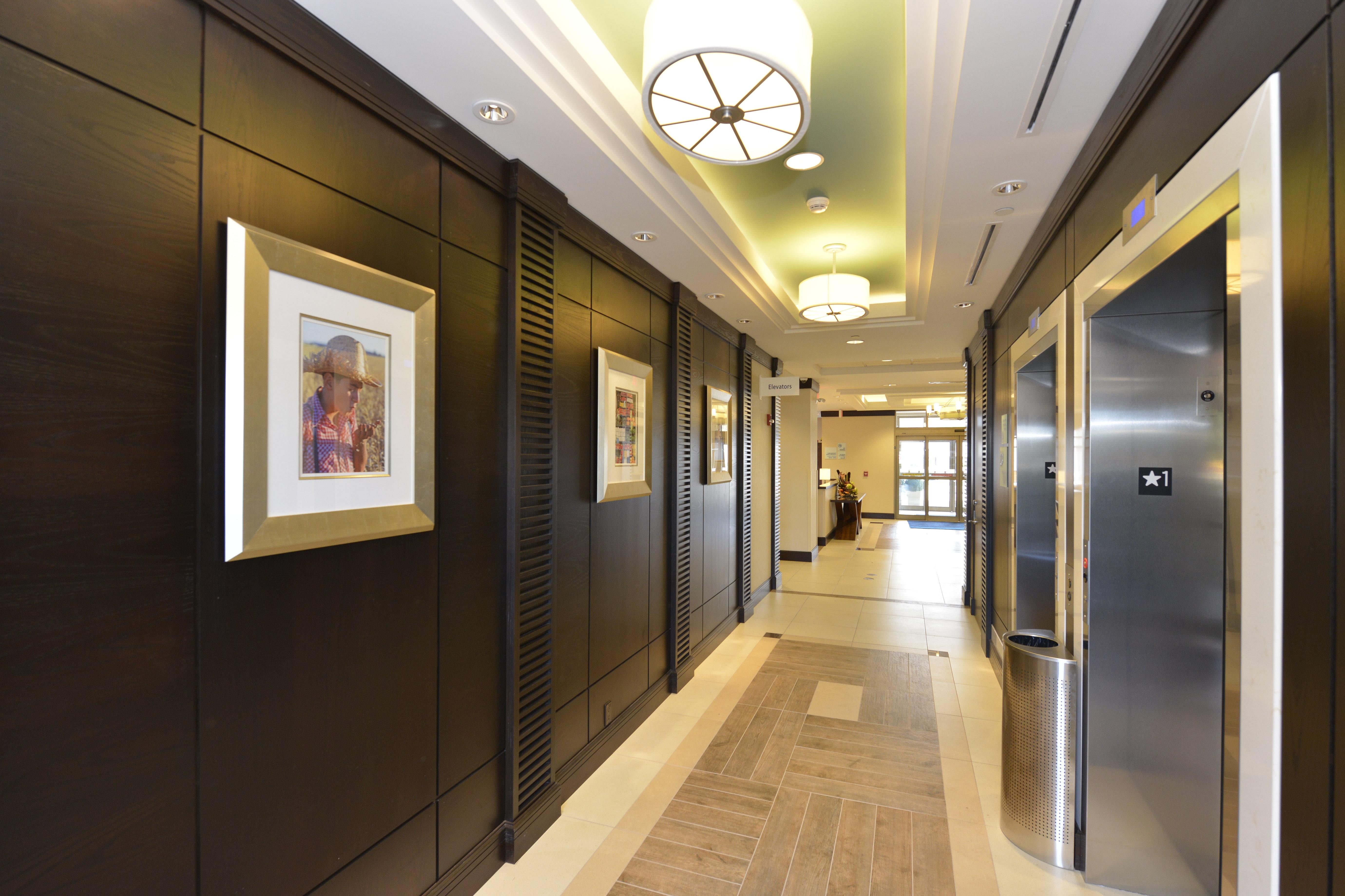 Holiday Inn Express Hotel & Suites Waterloo - St. Jacobs Area By Ihg מראה חיצוני תמונה